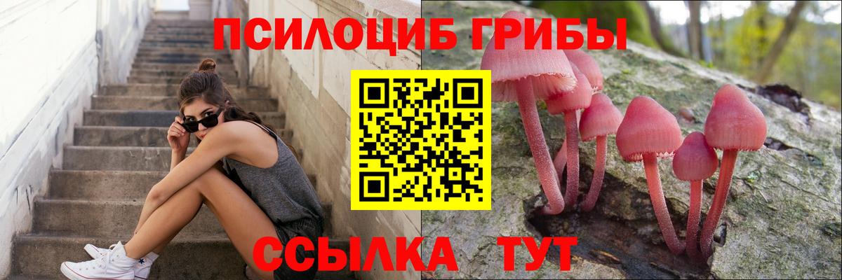 Псилоцибиновые грибы ЛСД  Псилоцибиновые грибы мухоморы  Вход с VPN  Чайковский 